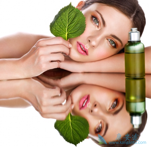 ��������ԭ��;���������Ƶķ���