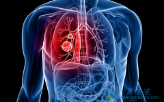 �ΰ��������Ƴ�̩��ɳ�ܿ���ס������