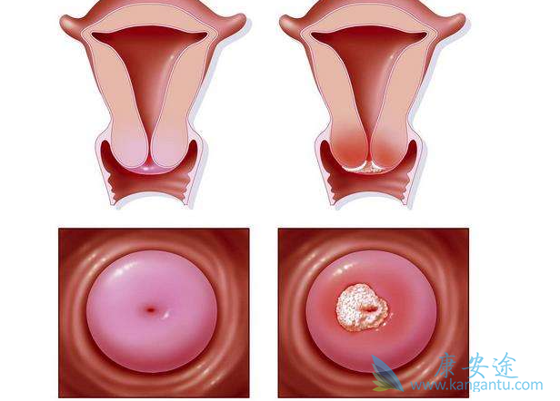 �����������ܻ���