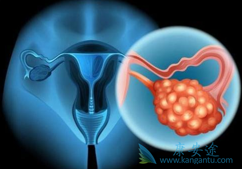 �ѳ�������