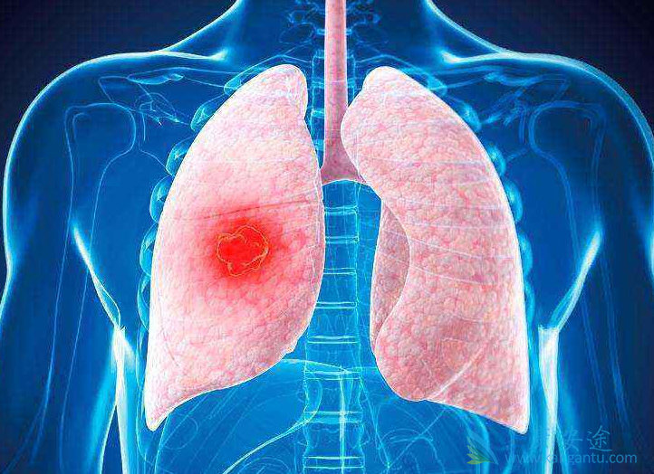 �ΰ�;�ΰ����˳�ʲô��