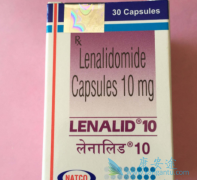 �����Ȱ������������������ƹ�������