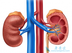 ����ת��;������Щ������Щ����ҩ����Σ�