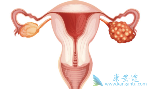 �ѳ��������ܻ���