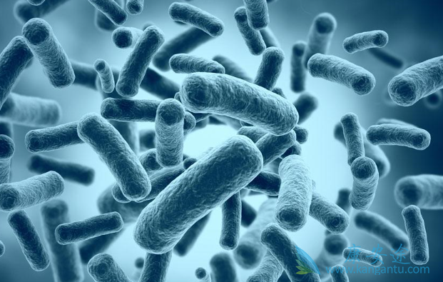 免疫细胞治疗 免疫细胞治疗