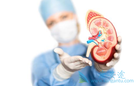 ����������;����ת��