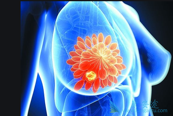 ���ٰ������ܻ���;���ٰ�ԭ��