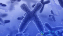 �Ҹδ��������κ����Ҹβ�������������Щ�˺���