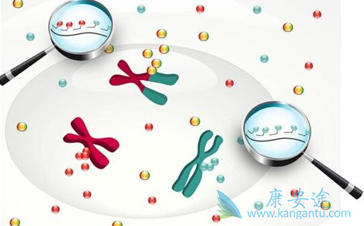 肺癌基因靶点;克唑替尼 肺癌基因靶点;克唑替尼