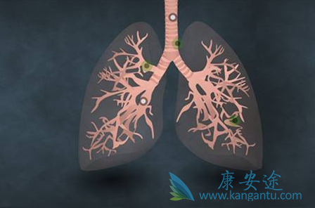 ��ϣ����