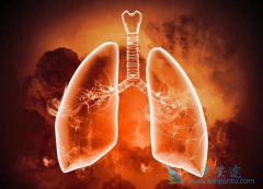 ʲô��������÷ΰ�egfr�е�ҩ����а������ƣ�