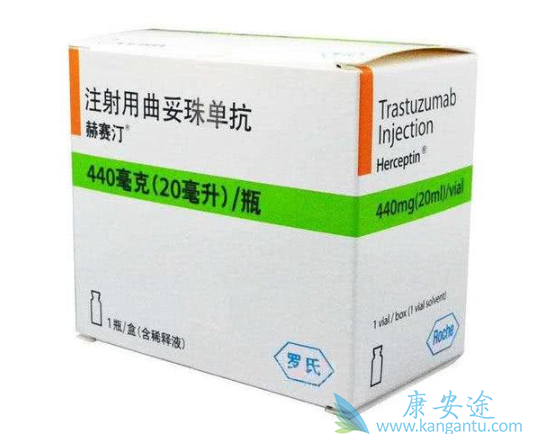 ����͡����Ч