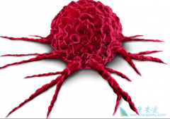 ǰ���ٰ��ͺ�ɫ�����Ĵ���ʸ���