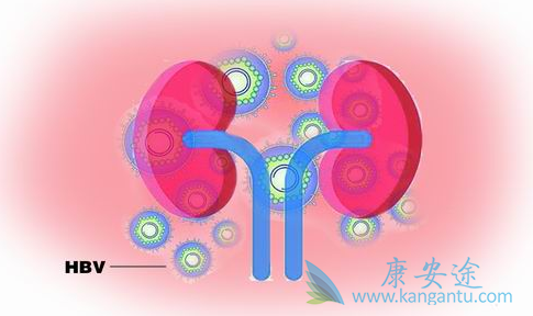 乙肝传染途径;治疗乙肝 乙肝传染途径;治疗乙肝