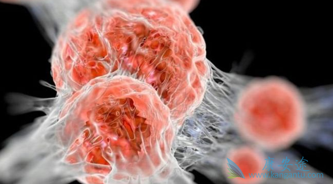 ���ٰ�;���ư�֢