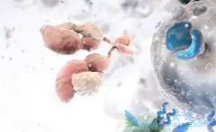 ����ҩһ����кܶ������𣿿���������ҩ��ķ������