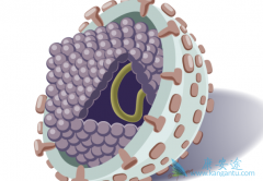 ���ο��������𣿱���������ƣ�