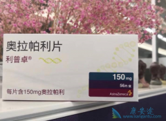 ���������뱴���鵥�����������ѳ���ʱ���ù�BRCA״̬