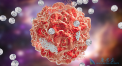 �����������κ���������������Щ������