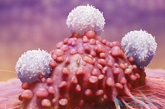 ���ٰ�������