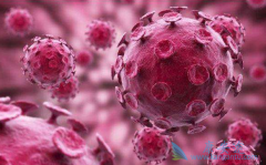 ��������������ô���У����Ԥ����