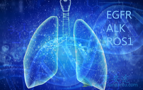 ��������;�ΰ�egfr�е�