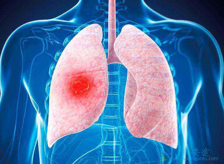 �ΰ����ڿ����κ���;�ΰ�����