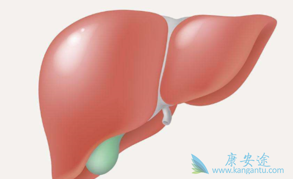 肝癌;肝癌药物 肝癌;肝癌药物