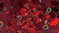 ��ɳ��������ư����׻�������������ҩ�����Թ����԰�Ѫ��