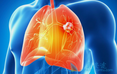 ��Сϸ���ΰ��������ֶθ�ѡ����һ����