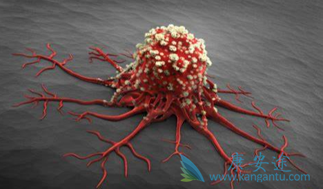 ��������;��ɳ����