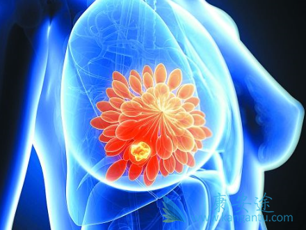 ���ٰ���ԭ��