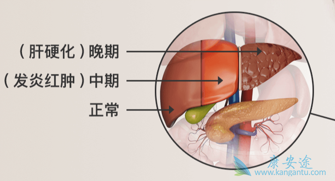 ���β���