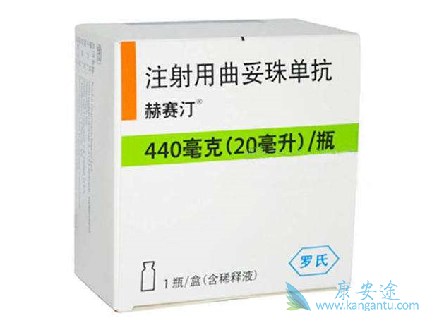 ����͡����Ч