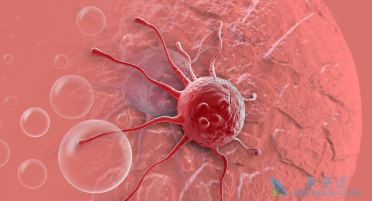 �ΰ�������;����