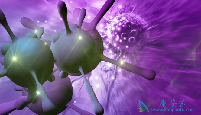 ��ϸ��ת��;�ΰ���ת��