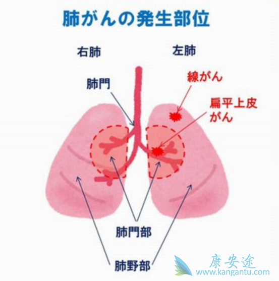 �ΰ�������ô����;�ΰ�����