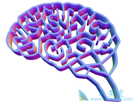 肺癌脑转移;肿瘤 肺癌脑转移;肿瘤