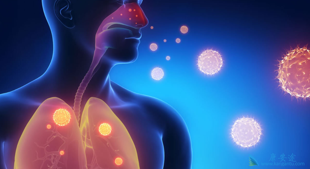 Сϸ���ΰ�;�ΰ�������