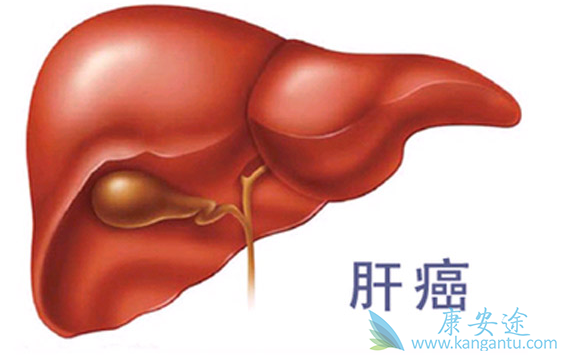 ��������;�ΰ�����