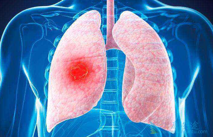 Сϸ���ΰ�;��Сϸ���ΰ�