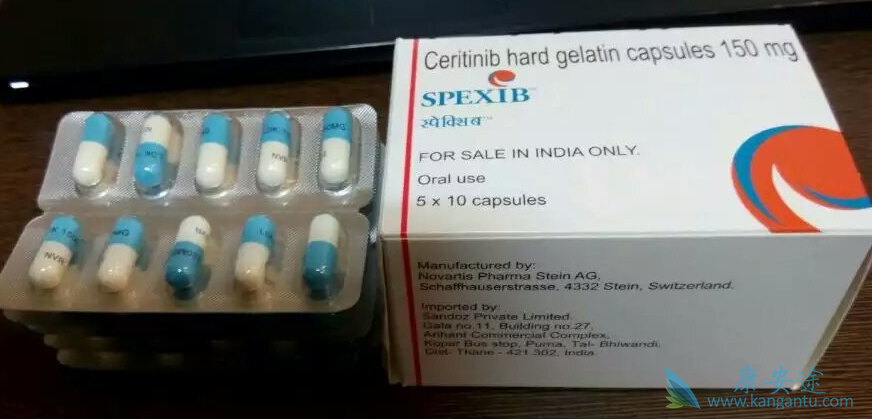 ��������;ɫ������