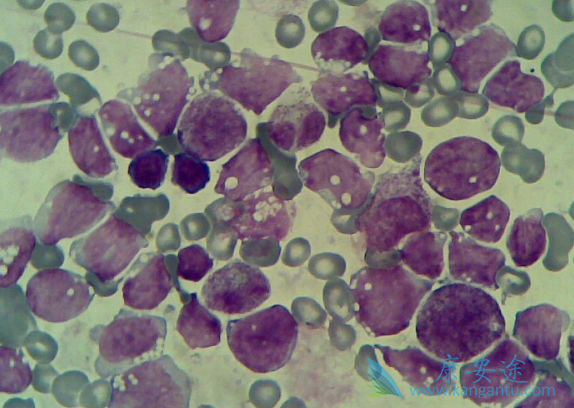 ��Ѫ������