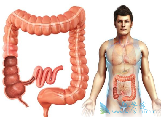 �᳦������