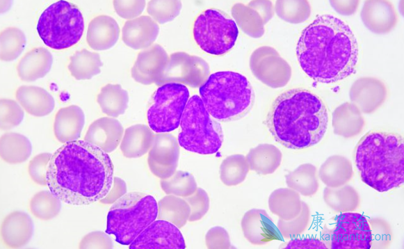 ������Ѫ��