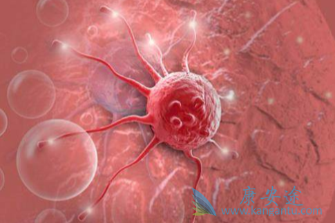 ��֢;���谩