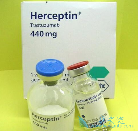 ����͡����Ч