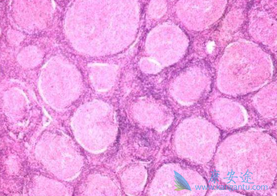 ������ܰ���