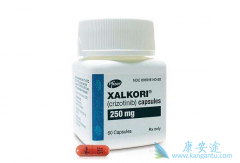 ����������ҩ���Ensartinib�ܿ���ס������