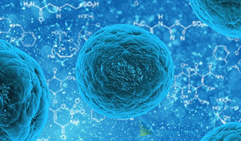 ǰ���ٰ�;����